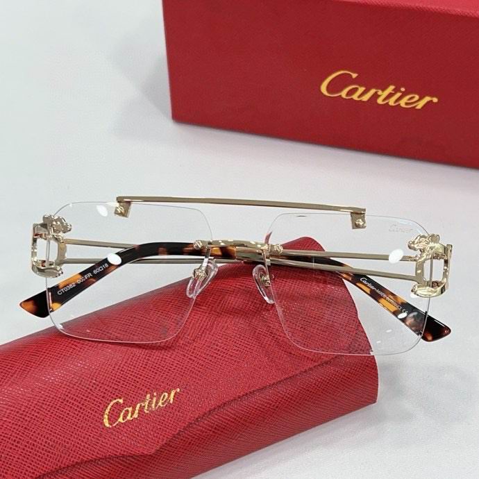 Cartier plain Glasses (183)